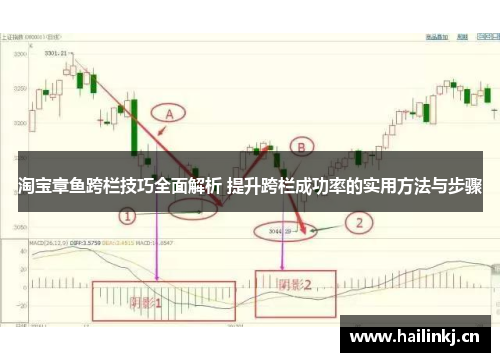 淘宝章鱼跨栏技巧全面解析 提升跨栏成功率的实用方法与步骤