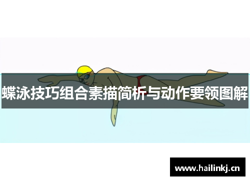 蝶泳技巧组合素描简析与动作要领图解